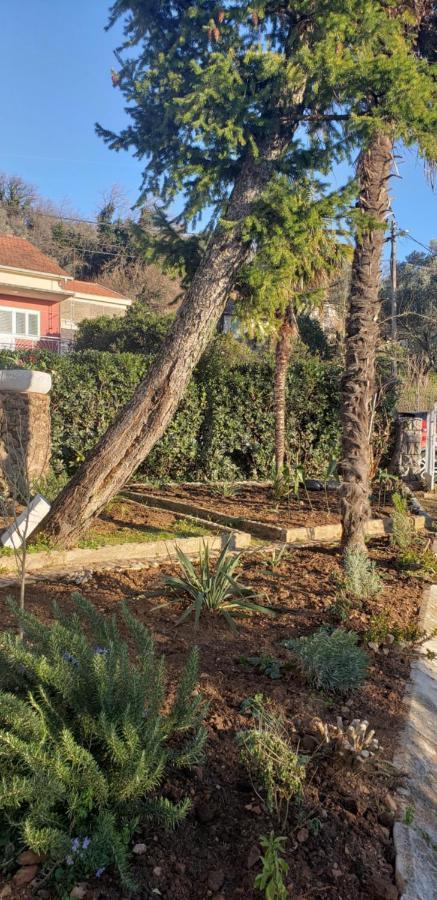 Holiday Home Nives Tivat Kültér fotó